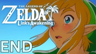 Lets Play Links Awakening END Final boss  last figure Nintendo Switch [upl. by Fritts36]