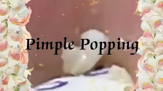 Pimple amp Blackheads Popping  30 [upl. by Sink508]