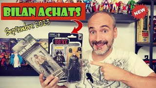 Bilan dachats du mois de Septembre  Figurines Star Wars Maîtres de lunivers et Walking dead [upl. by Egroeg594]