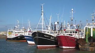 Emydex Fish Processing and Traceability Software Live OnBoard Clogherhead Fishing Vessels [upl. by Ricki]