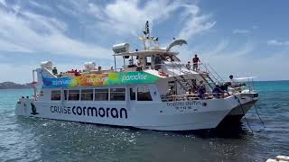 Cruise Cormoran  Paguera Mallorca  Christ Video [upl. by Emirej715]