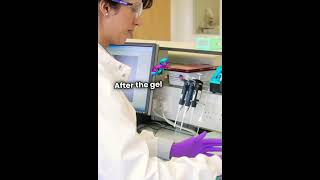 Agarose Gel Electrophoresis👍👍 [upl. by Aneleasor]