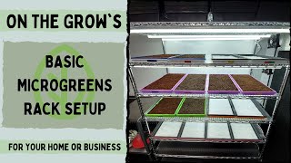 Basic Microgreen Rack Setup [upl. by Jojo525]