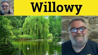 😎 Willowy Meaning  Willowy Examples  Willowy Defined  Describing People  Willowy [upl. by Cohla]