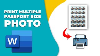 How to print multiple passport size photos on one page in word [upl. by Airat]