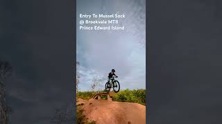 Leave the roundabout at Brookvale drop into Mussel Sock mtb pei mountainbike specialized trek [upl. by Eenot478]