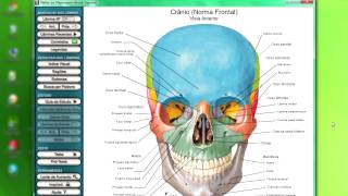 10 Dicas de uso do Atlas Interativo de Anatomia Humana de Frank Netter [upl. by Arimas]