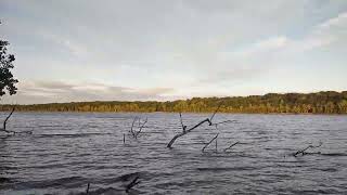 walk by the Hempstead state park lake കായലിനടുത്ത് നടക്കാൻ പോയാലോ [upl. by Kcirad]