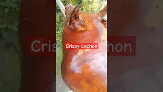 CRISPY LECHONshortsvideo food asmrvideos lechonpackage satisfying trending party music [upl. by Aicssej854]