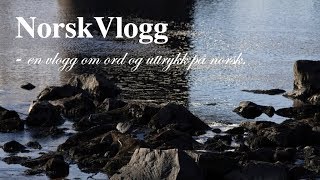 NorskVlogg 5 å regneå regne med [upl. by Llenra]