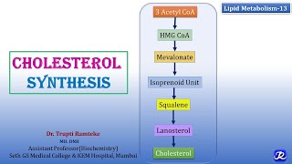 13 Cholesterol Synthesis  Lipid Metabolism13  Biochemistry  NJOY Biochemistry [upl. by Oicnecserc544]