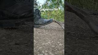 Commando vs cobra indianarmy army 🐉🐉🐉🐉 ilovemyindianarmry [upl. by Sivam463]