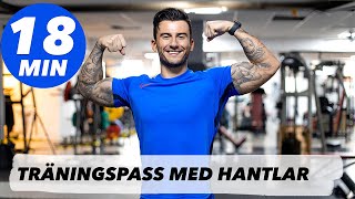 GRYMT TRÄNINGSPASS MED HANTLAR  TRAINWITHSMAIL [upl. by Pytlik]