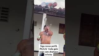 Siga nosso perfil PILILIU trola galo cego com shampoo infinito [upl. by Tterab]