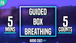 Guided Box Breathing  5 Minute Meditation 5555 [upl. by Moyna]