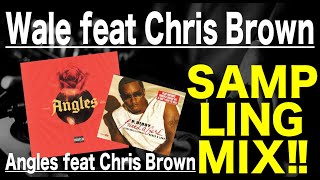 【Hip Hop RampB Sampling MIX】Wale Angles feat Chris Brown [upl. by Sivehc280]