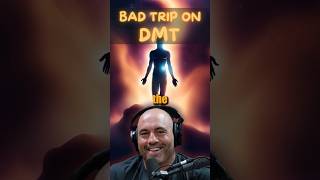 The Power of Psychedelics Joe Rogan and Dorian Yates on DMT Insights shorts joeroganpodcast [upl. by Ettevi459]