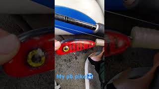 I recomend a red and black lure if you are going pike fishing👍 [upl. by Laband]