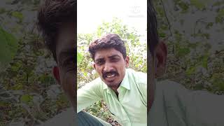 Nani thay hoyato div javay comedy 🤣🤣funny viralshort [upl. by Kerrie]