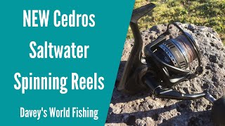 NEW Okuma Cedros Spinning Reels  First Look  Awesome Saltwater Reel [upl. by Noemi]