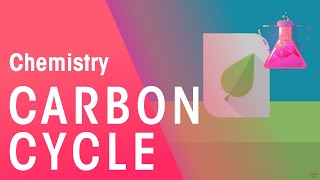 What Is The Carbon Cycle  Part 1 Environmental Chemistry  Chemistry  FuseSchool [upl. by Remo205]