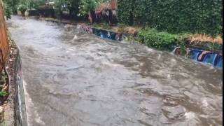 Elsternwick Canal flooding [upl. by Mada302]