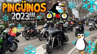 LOCURA EN PINGÜINOS 2023 LA CONCENTRACIÓN DE MÁS DE 40000 MOTEROS 🥶 [upl. by Thurber395]