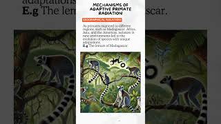 Ep6 Explained Adaptive Primate RadiationPaper12019 upsc anthropology anthropologylectures [upl. by Alane]