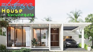 Box type single story house design  Kurunegala Sri Lanka2 bed room Mordern house designroof ter [upl. by Ellenar71]