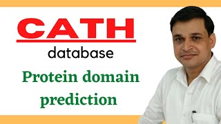 CATH database  Protein Domain Prediction  Protein structure classification database [upl. by Ecirual]