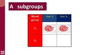 Hematology  4  U1L23 A subgroups [upl. by Fergus551]