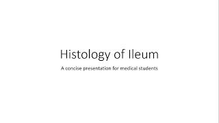 Ileum  Histology [upl. by Annid]