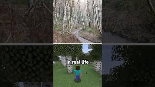 Minecraft Biomes in real life [upl. by Tufts]