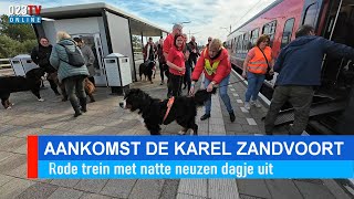 DE KAREL vol met Berner Sennenhonden naar Zandvoort [upl. by Eberle]