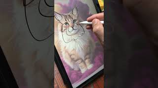 how to minimalist line artart artminimalist drawing procreate cat [upl. by Ludovico]