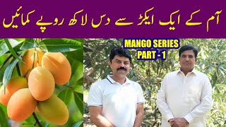 Mango Production Technology l How to Earn One Million Per Acre from Mango Orchard [upl. by Karine]