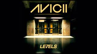 Avicii  Levels [upl. by Ayotnahs]