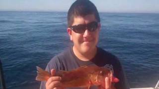 Gamefisher Ensenada Offers Great Sportfishing Trips [upl. by Kletter]