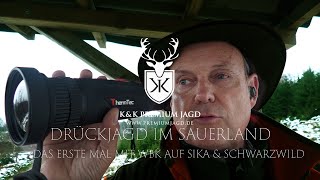 Drückjagd Sauerland auf Sika und Schwarzwild  Mit Wärmebildkamera Thermtec 670 D auf der Drückjagd [upl. by Hankins367]