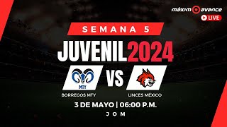 MÁXIMO AVANCE EN VIVO BORREGOS MTY vs LINCES MÉXICO  JUVENIL 2024  SEMANA 5  ONEFA [upl. by Renick548]