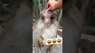 gf छोड़ गई 😭 shorts funny comedy vikramshorts mrrajeallrounder realfool ytshorts [upl. by Nnil]