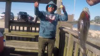 A day at LaSalle Lake Thank you Jesus for this Day Catching blue gil [upl. by Girardi]