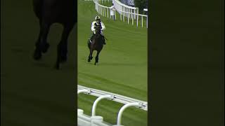 Jockey jumps off horse at 40mph horse equestrianvibes horseenthusiast fypシ゚ [upl. by Keary]