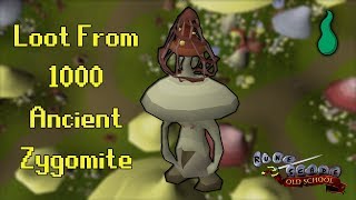 Old School RuneScape Loot From 1000 Ancient Zygomite [upl. by Enorahs447]