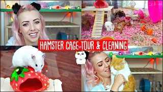 HAMSTER CAGE CLEANING amp CAGE TOUR  My Hamster is chewing her Cage😭 [upl. by Esilahc107]