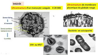 Cytologieبالعربية  2 Les méthodes détude de la cellule  Part 2 le MET [upl. by Suivatna]