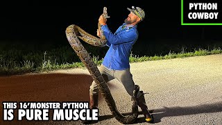 Will The Burmese Python Problem In The Florida Everglades Ever Be Resolved [upl. by Atiekal]