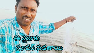 ఈ సైజుకు సూపర్ పడతాయి🐬yatala shankar vlogs యాటల శంకర్ ఫిషింగ్ వీడియో🐬 [upl. by Tolkan]