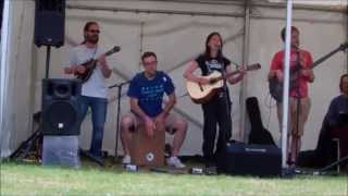 Rosie Eade Band  Tiddy Mun  Wimborne Folk Festival 2014 [upl. by Klug355]