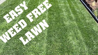 How to Use Ortho® Weed Bgon™ Lawn Weed Killer ReadyToUse [upl. by Rudolfo]